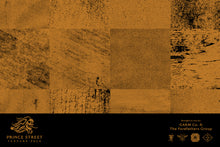 Load image into Gallery viewer, Prince Street Vol.1