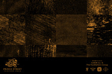 Load image into Gallery viewer, Prince Street Vol.1
