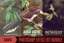 Load image into Gallery viewer, Photoshop Effect Kit Bundle
